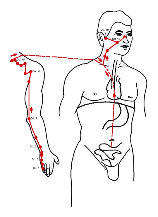 Small intestine acupuncture meridian